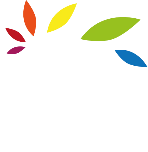 Logo Nicolas Plaçais Artisan Peintre Le Lion d’Angers Logo Nicolas Plaçais Artisan Peintre Le Lion d'Angers